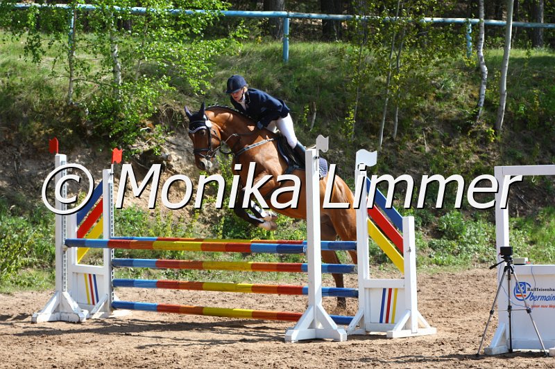 004M1707_Scalari_Springpferde A xx.JPG